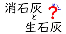 消石灰と生石灰の違いを完全解説！誰でもわかる使い分けと安全ポイント