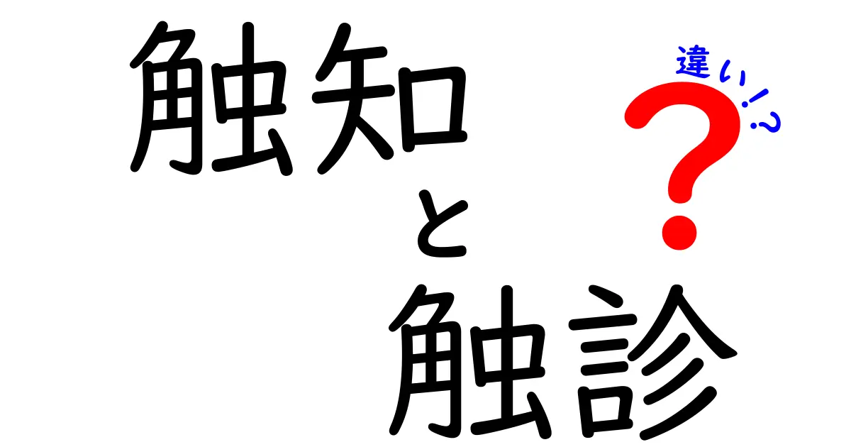 触知と触診の違いを徹底解説｜中学生にもわかる実践ガイドと身近な例