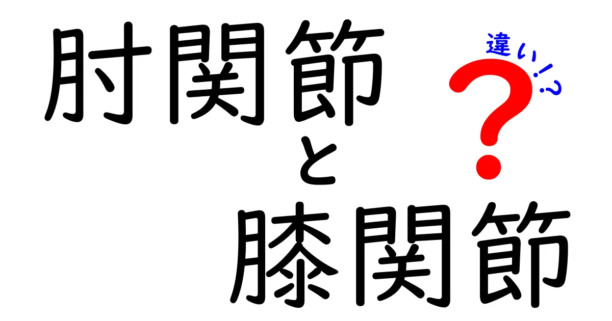 肘関節と膝関節の違いを徹底解説！構造・動き・痛みまで中学生にも分かる比較