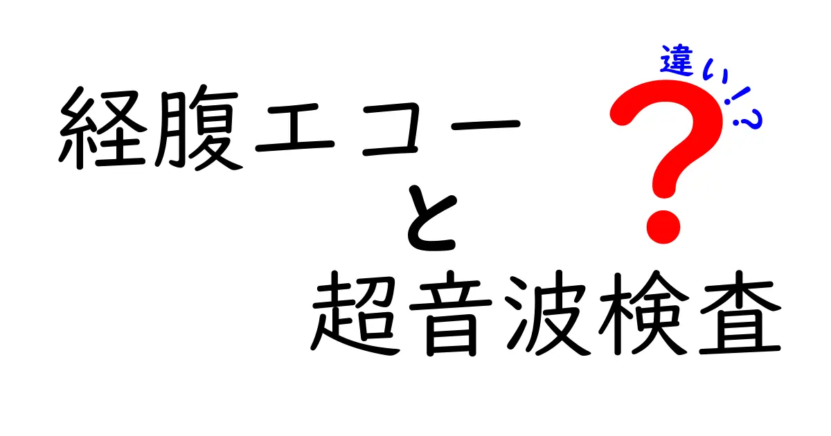 経腹エコーと超音波検査の違いをわかりやすく解説｜どちらを選ぶべきか徹底比較