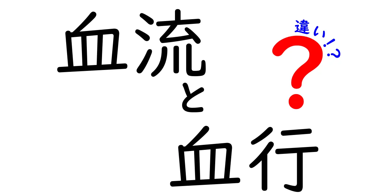 血流と血行の違いを徹底解説！中学生にもわかる体の“流れ”の秘密