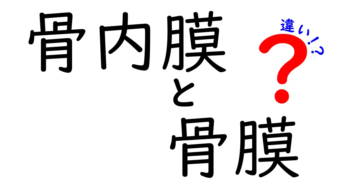 骨内膜と骨膜の違いを徹底解説：内側の膜と外側の膜が骨にもたらす役割と見分け方