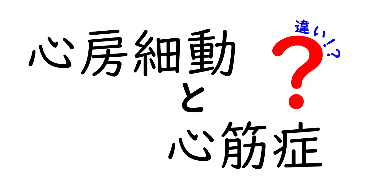 心房細動と心筋症の違いを完全解説｜原因・症状・治療のポイントを中学生にもわかる言葉で