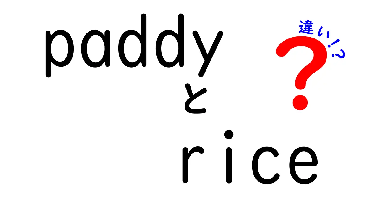 paddy　rice　違いを徹底解説：パディとライスの正体と使い方の違い