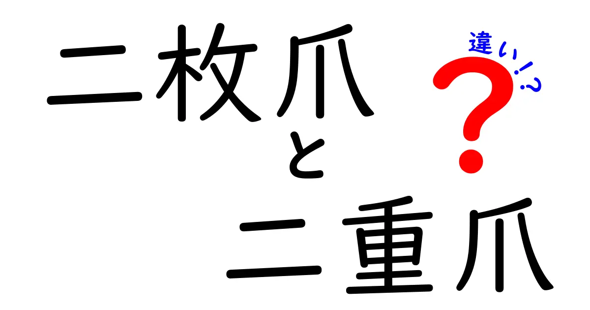 二枚爪と二重爪の違いを徹底解説！見分け方とケアのポイントを中学生にも分かりやすく