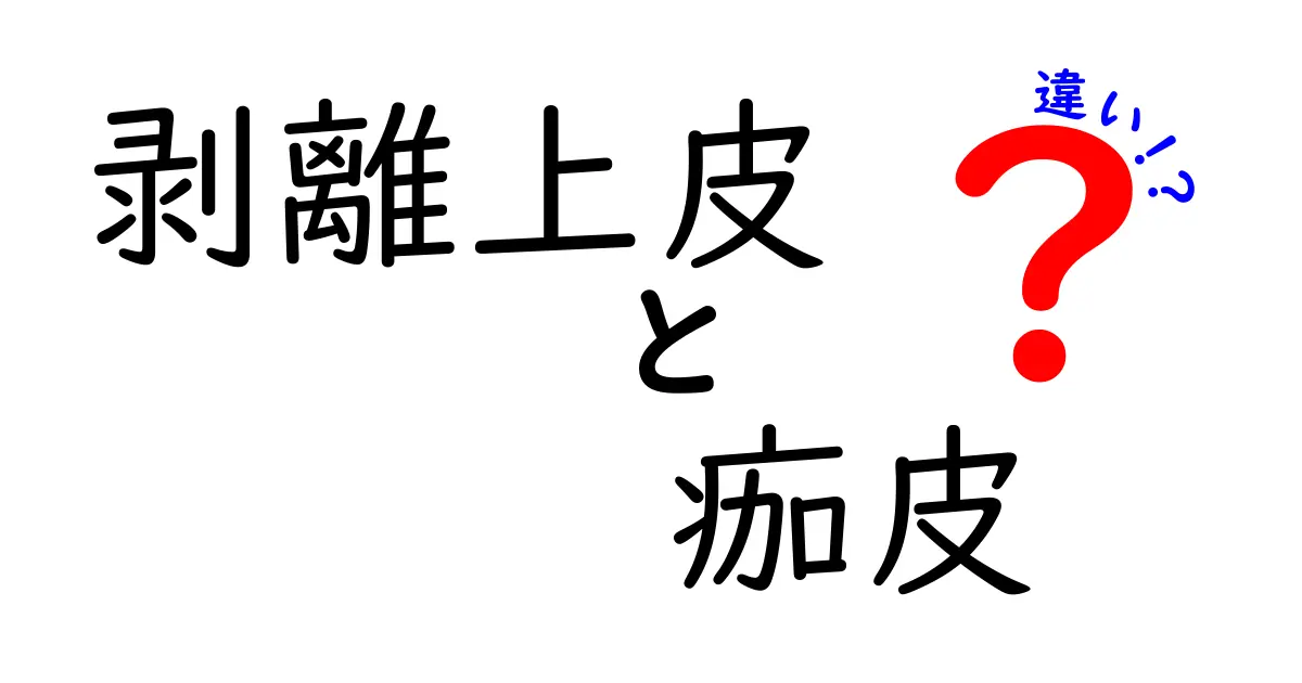 剥離上皮と痂皮の違いを徹底解説！見分け方と日常ケアのポイント