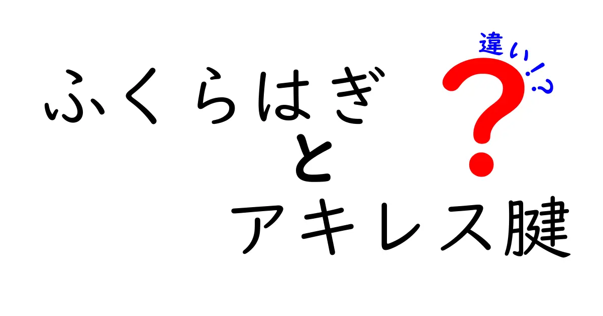 ふくらはぎとアキレス腱の違いを徹底解説！痛みの原因と正しいケアを中学生にもわかる図解付き