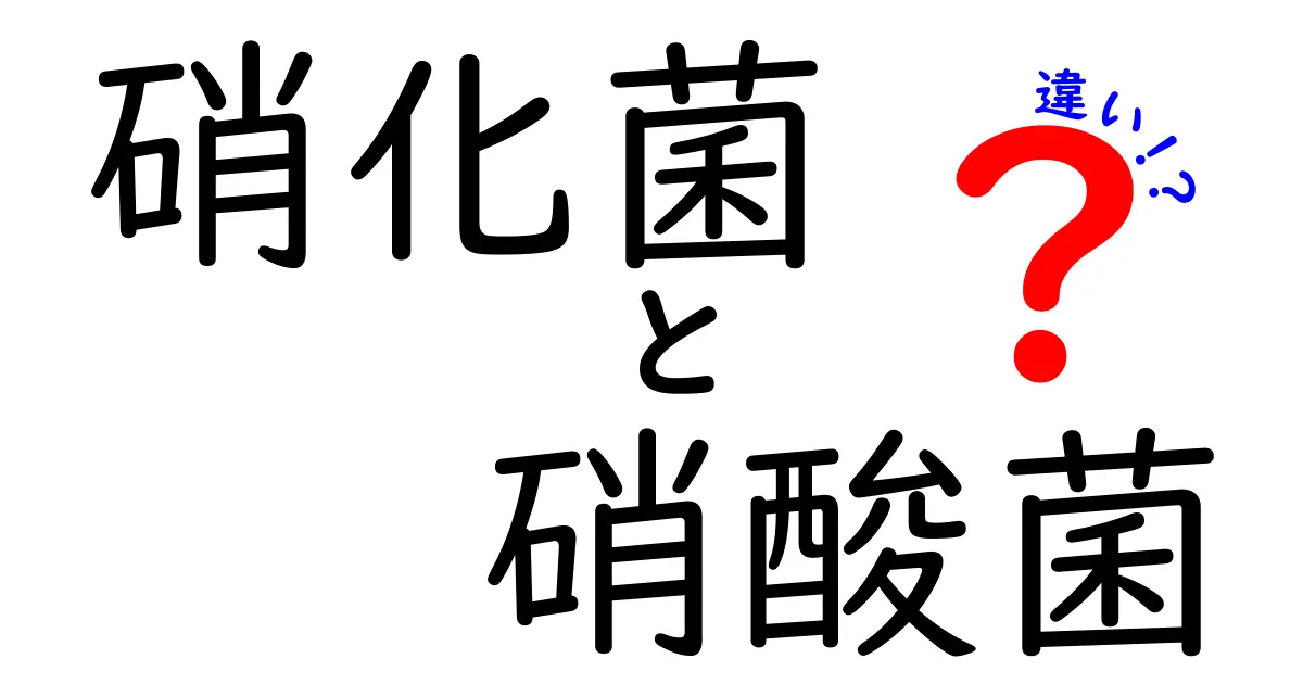 硝化菌と硝酸菌の違いを徹底解説！中学生にも分かる科学の基礎
