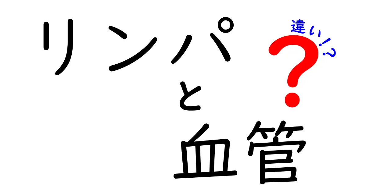 リンパと血管の違いって何？中学生にもわかる体の仕組みをやさしく解説