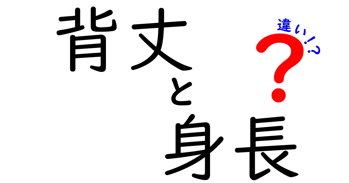背丈と身長の違いを徹底解説！中学生にもわかる測り方と使い分けの完全ガイド