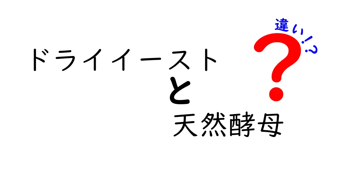 ドライイーストと天然酵母の違いを徹底解説｜初心者でも分かる使い分けとパン作りのコツ