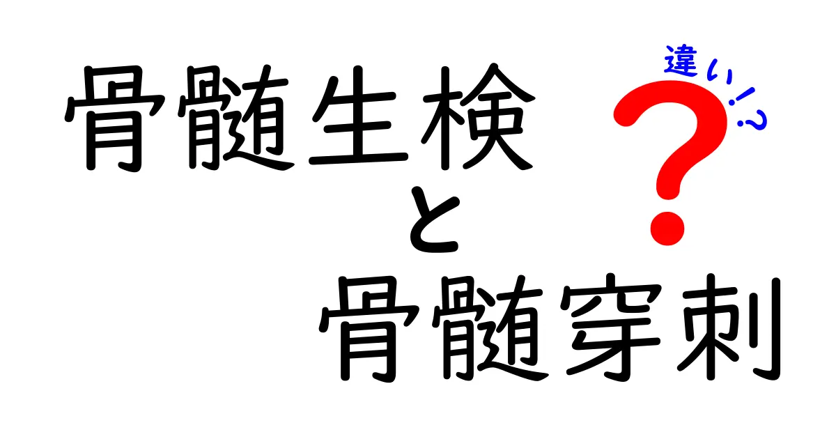 骨髄生検と骨髄穿刺の違いをわかりやすく解説｜どっちを選ぶべきか、痛みや検査後の注意点まで