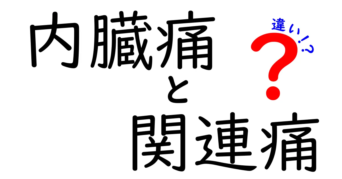 内臓痛と関連痛の違いをわかりやすく徹底解説｜痛みが広がる謎を解く見分け方