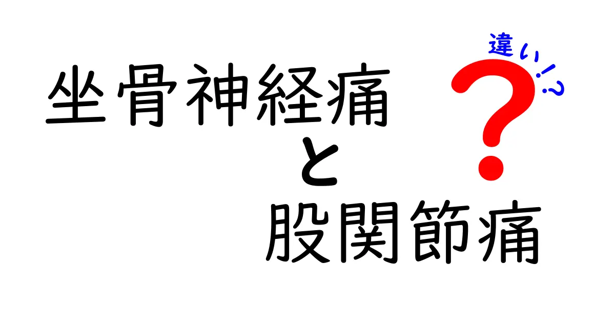 坐骨神経痛と股関節痛の違いを徹底解説 どちらの痛みかを見分ける5つのポイント
