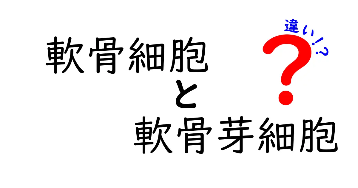 軟骨細胞と軟骨芽細胞の違いを徹底解説！成長・修復に関わる細胞の正体とは