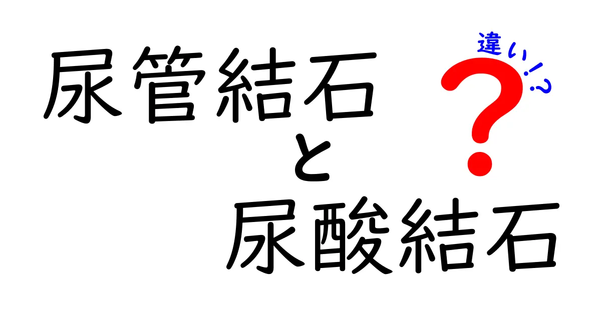 尿管結石と尿酸結石の違いを徹底解説！痛みの原因から治療・予防まで中学生にもわかりやすい解説