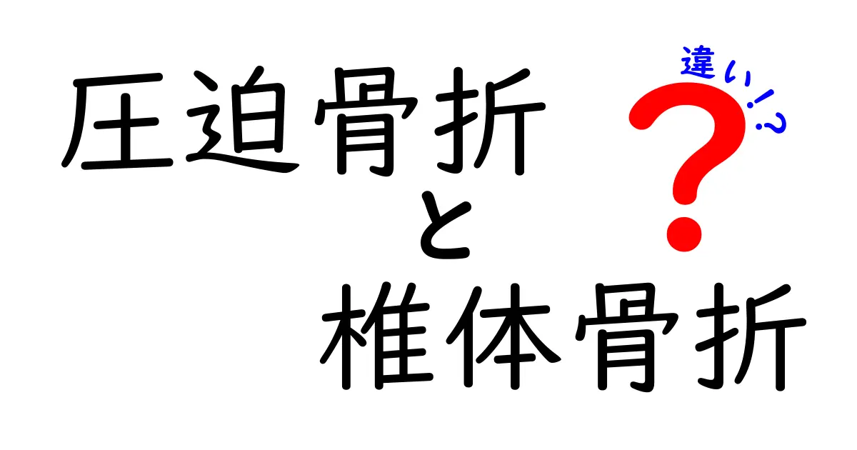 圧迫骨折と椎体骨折の違いを徹底解説！原因・症状・治療をわかりやすく解説