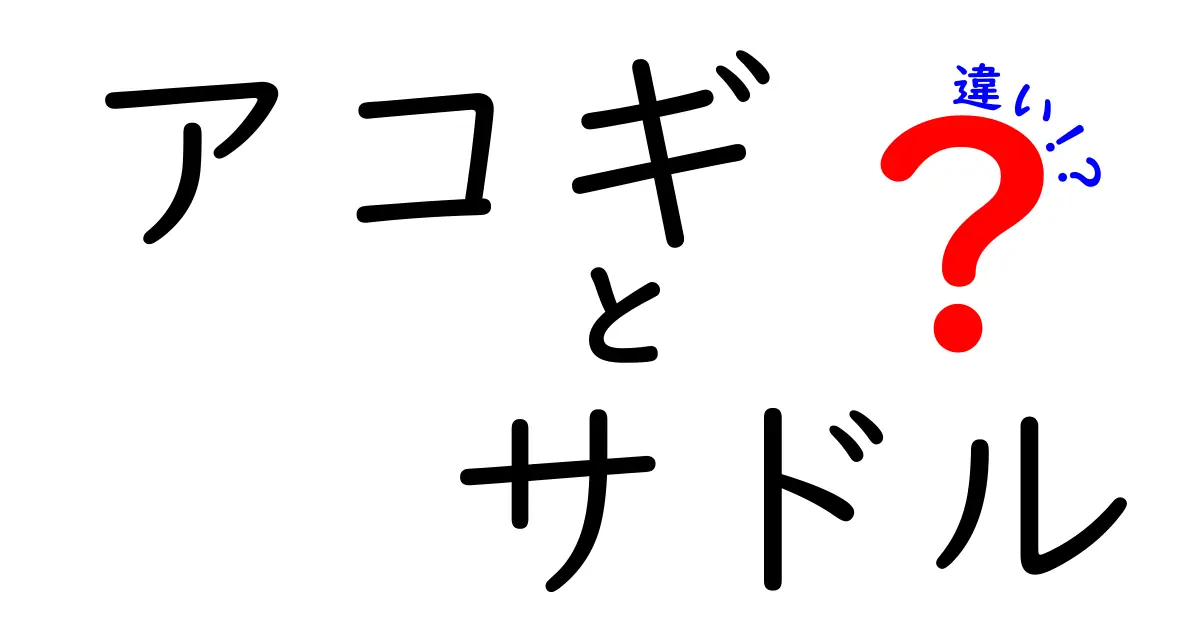アコギのサドルの違いを徹底解説！素材と形状が音へ与える影響をわかりやすく解説