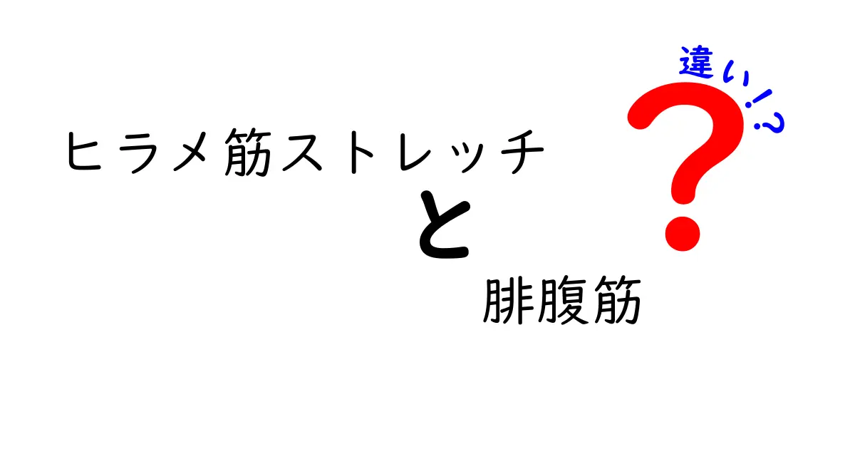ヒラメ筋ストレッチと腓腹筋の違いを徹底解説｜正しい方法と痛みを防ぐコツ