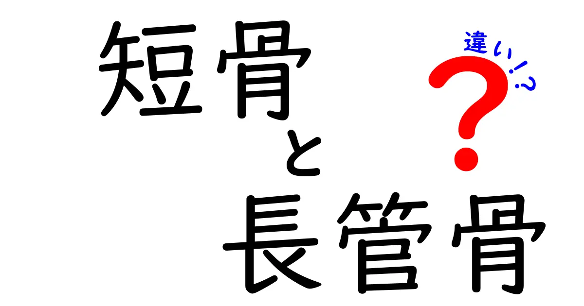 短骨と長管骨の違いを徹底解説！形はどうして違うの？身の回りの骨の秘密