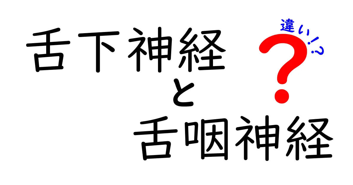 舌下神経と舌咽神経の違いを徹底解説！中学生でもわかる基礎から日常の見分け方まで