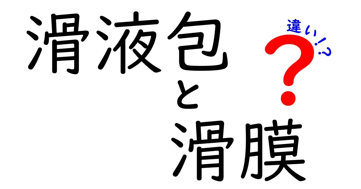 滑液包と滑膜の違いをわかりやすく解説する図解ガイド