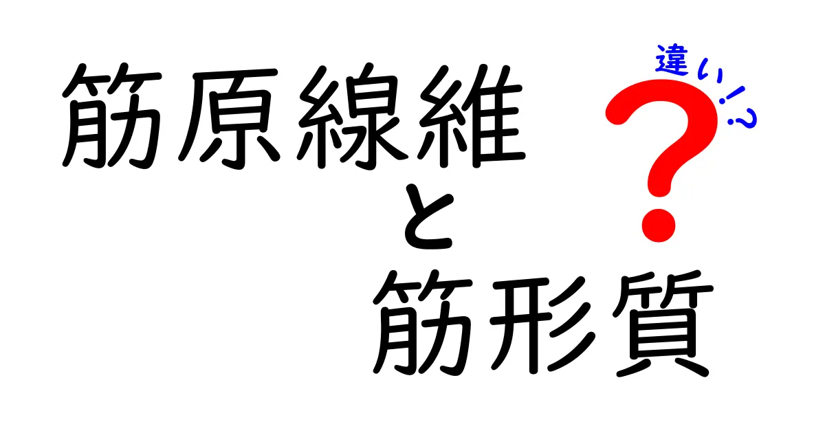 筋原線維と筋形質の違いを徹底解説！中学生にも分かる図解つき
