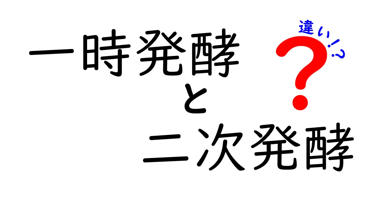 一時発酵と二次発酵の違いを徹底解説！初心者にもわかる発酵のステップ