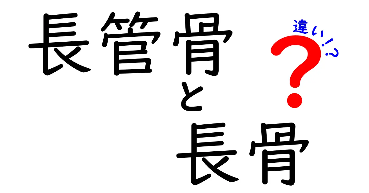 長管骨と長骨の違いを今すぐわかる！図解つきで中学生にもやさしい解説