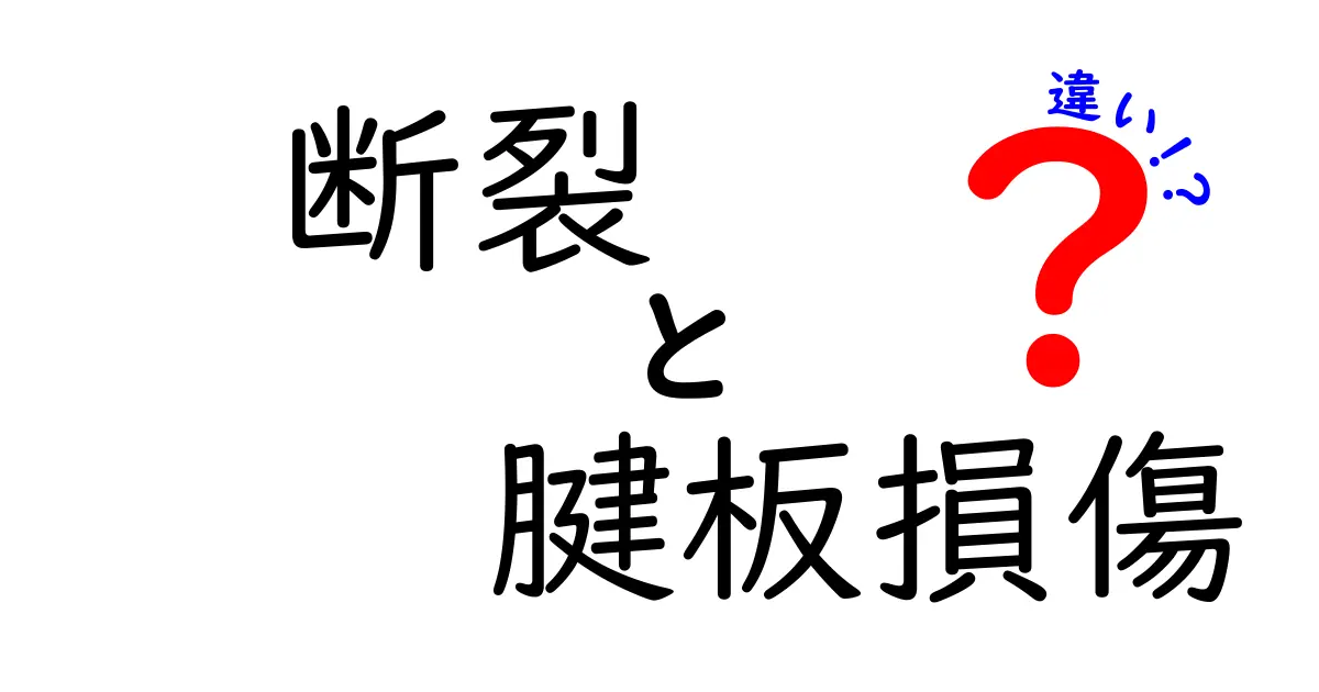 断裂と腱板損傷の違いを徹底解説｜痛みの原因と治療の選び方を中学生にも分かるやさしい日本語で