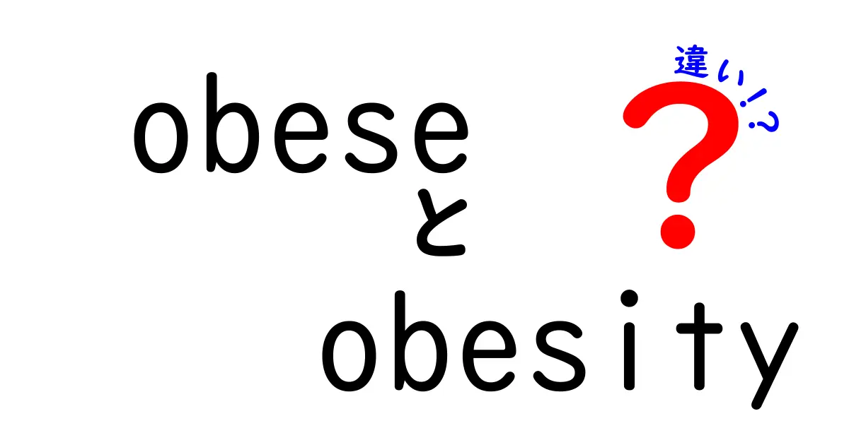 obese　obesity　違いを徹底解説！形容詞と名詞の使い分けを中学生にもわかる解説