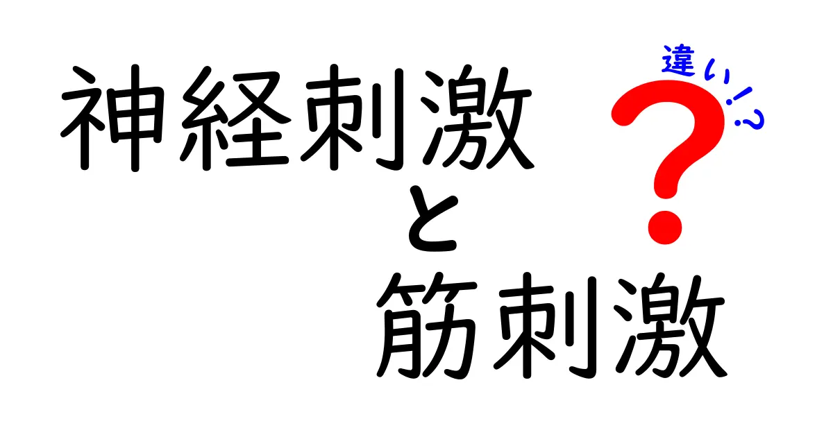 神経刺激と筋刺激の違いを完全ガイド：仕組みと使い方をわかりやすく解説