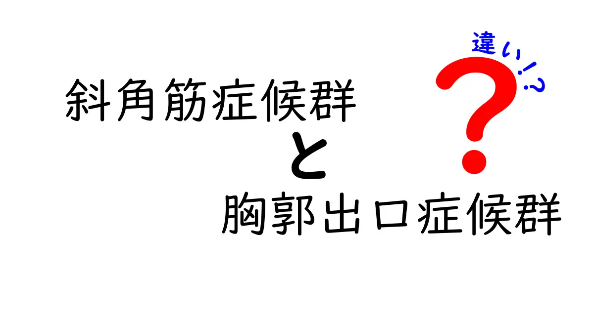 斜角筋症候群と胸郭出口症候群の違いを徹底解説！見分け方と生活への影響までわかる