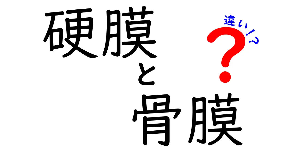 硬膜　骨膜　違いを徹底解説！脳を包む硬膜と骨を覆う骨膜の役割と違いをわかりやすく