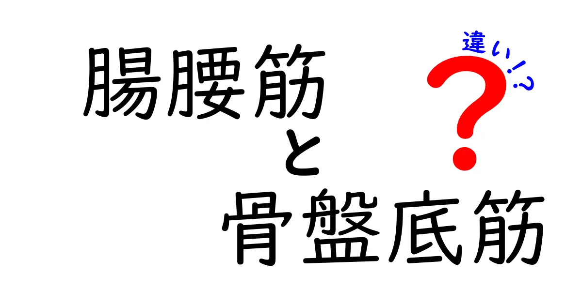 腸腰筋と骨盤底筋の違いを徹底解説：体づくりと姿勢改善の鍵