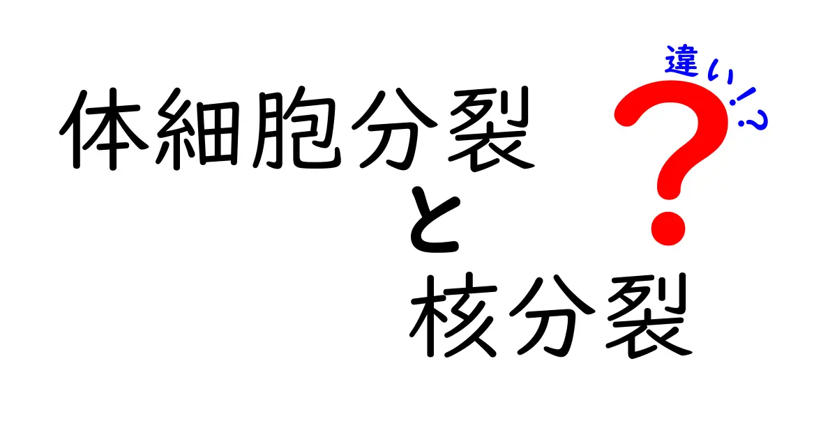 体細胞分裂と核分裂の違いを徹底解説！中学生にも伝わる図解つきの基本ガイド