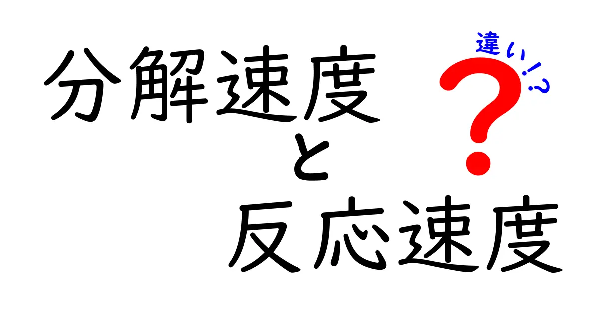 分解速度と反応速度の違いを徹底解説｜中学生にも分かる科学の基本