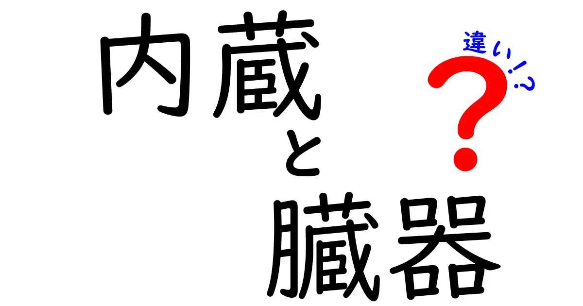 内蔵と臓器の違いをわかりやすく解説｜日常語と医学語の境界を学ぶ