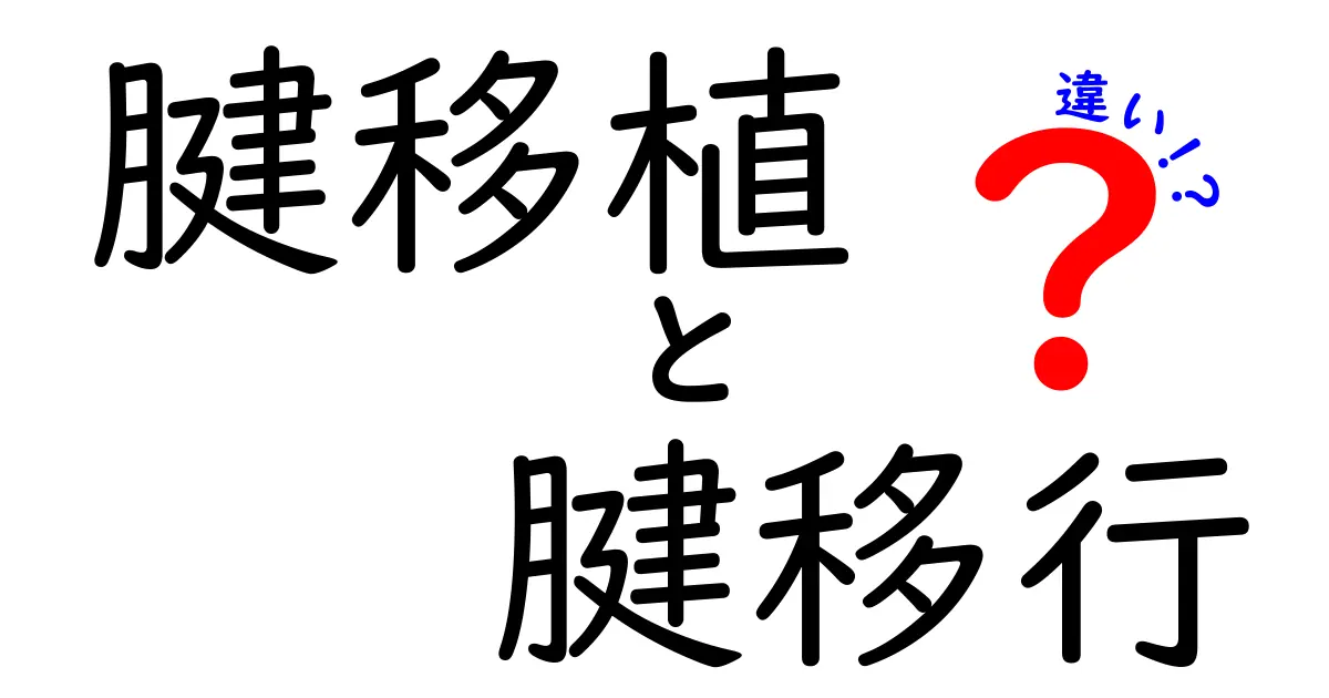 腱移植と腱移行の違いとは？中学生にもわかるやさしい解説ガイド