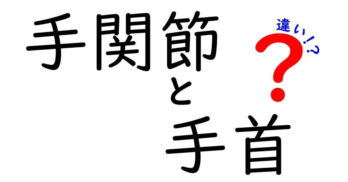 手関節と手首の違いを徹底解説！中学生にもわかる呼称の使い分けと日常の理解ポイント