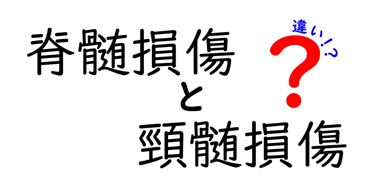 脊髄損傷と頸髄損傷の違いとは？中学生にもわかるポイント解説