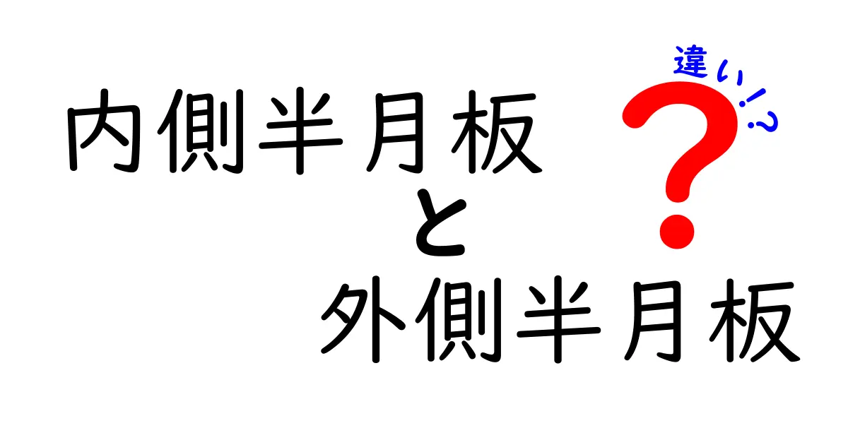 内側半月板と外側半月板の違いを徹底解説！痛みの場所でわかるケガの見分け方と日常ケア