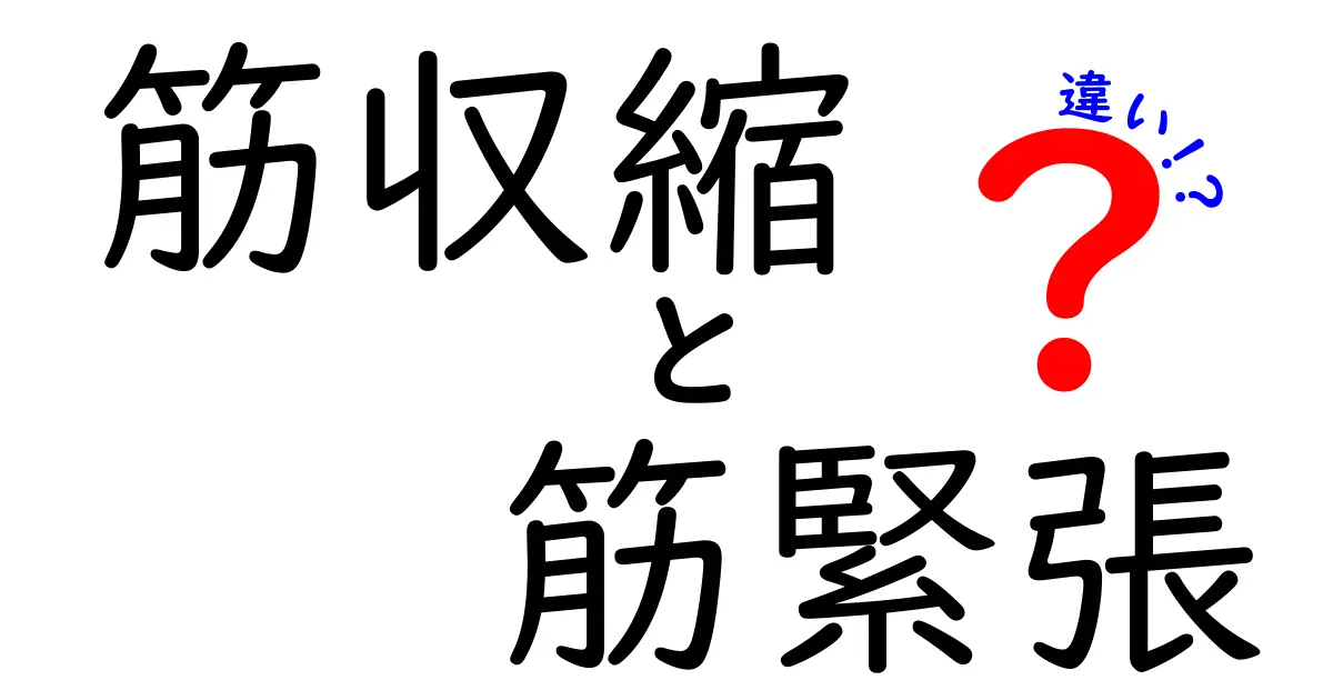 筋収縮と筋緊張の違いを完全ガイド：正しく知ると疲れも痛みも軽減できる！