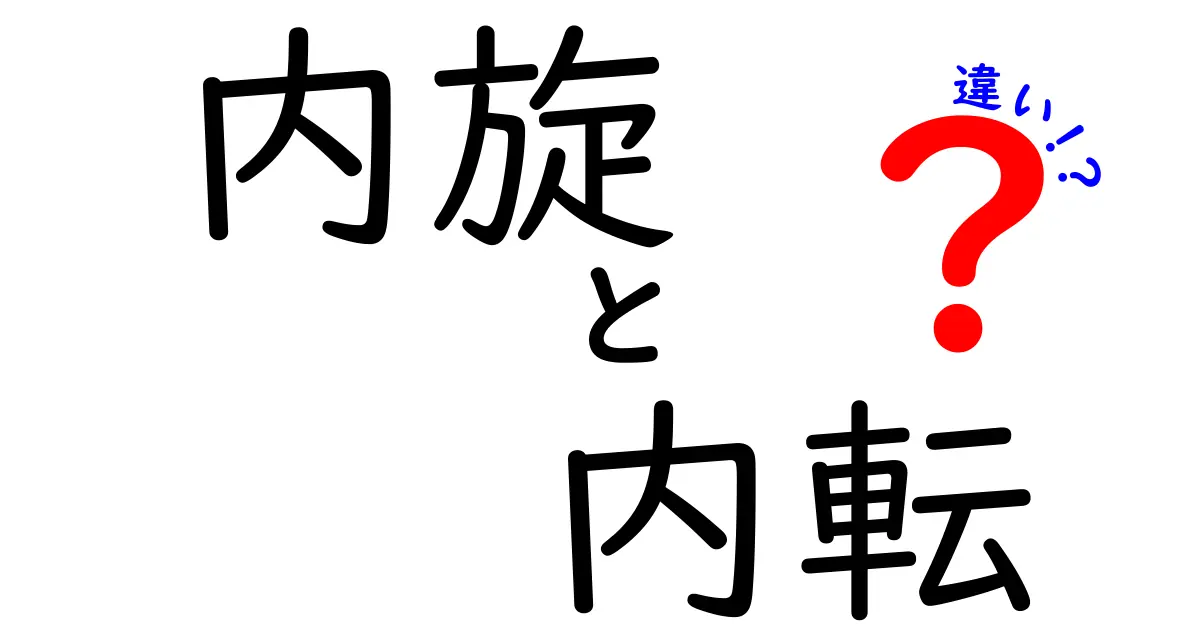 内旋と内転の違いを徹底解説！中学生にもわかるシンプルな見分け方