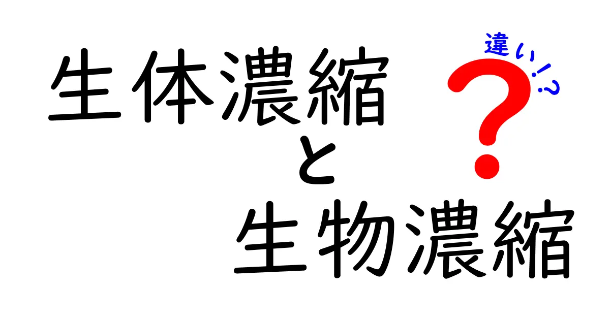 生体濃縮と生物濃縮の違いを完全解説！中学生にもわかる実例と図解で理解する基礎知識