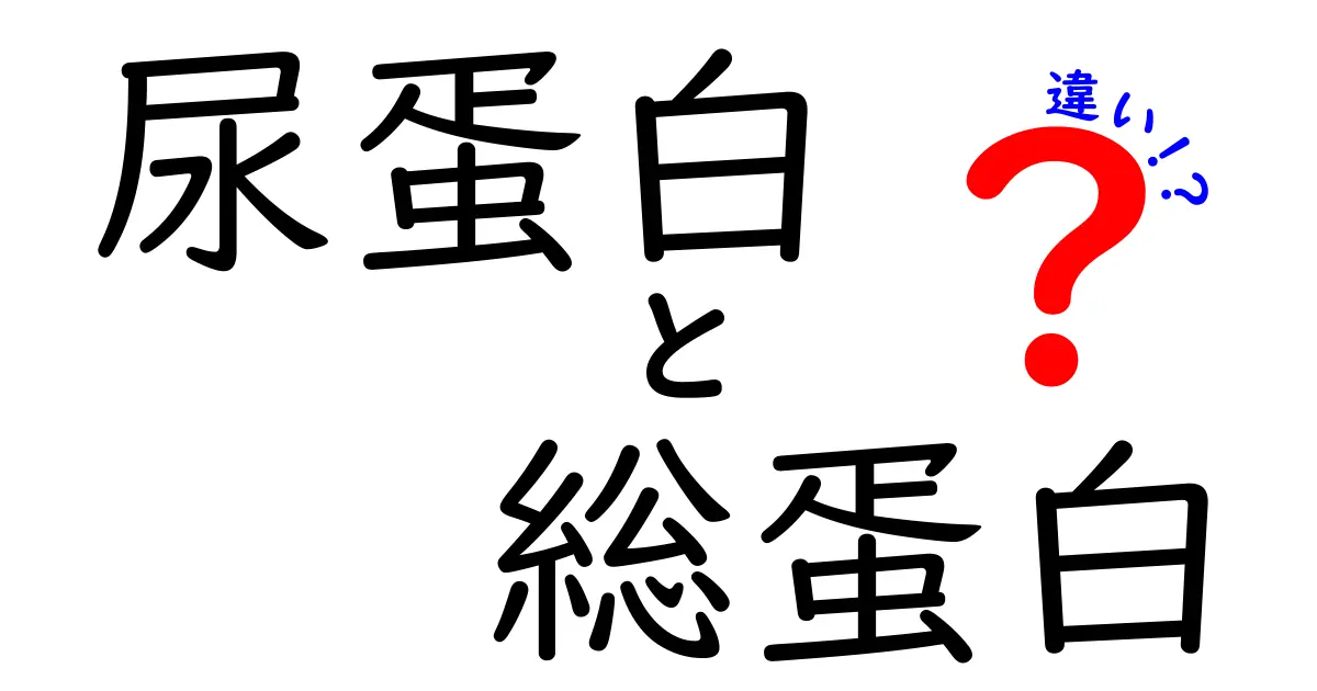 尿蛋白と総蛋白の違いを徹底解説！検査の意味と日常の見方を中学生にもわかりやすく