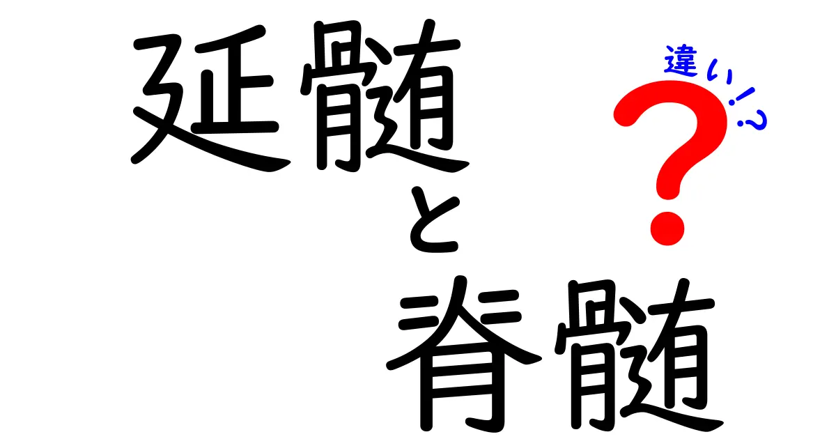 延髄と脊髄の違いを一発で理解する！中学生にもやさしい体のしくみ図解