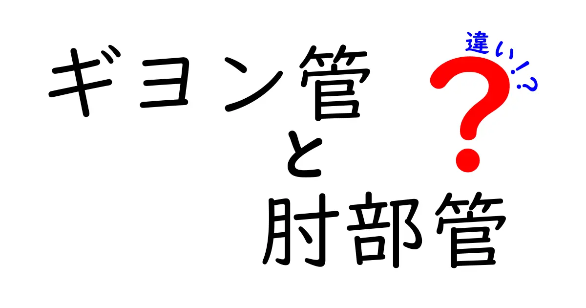 ギヨン管と肘部管の違いを徹底解説！手の神経トラブルを正しく理解するためのポイント