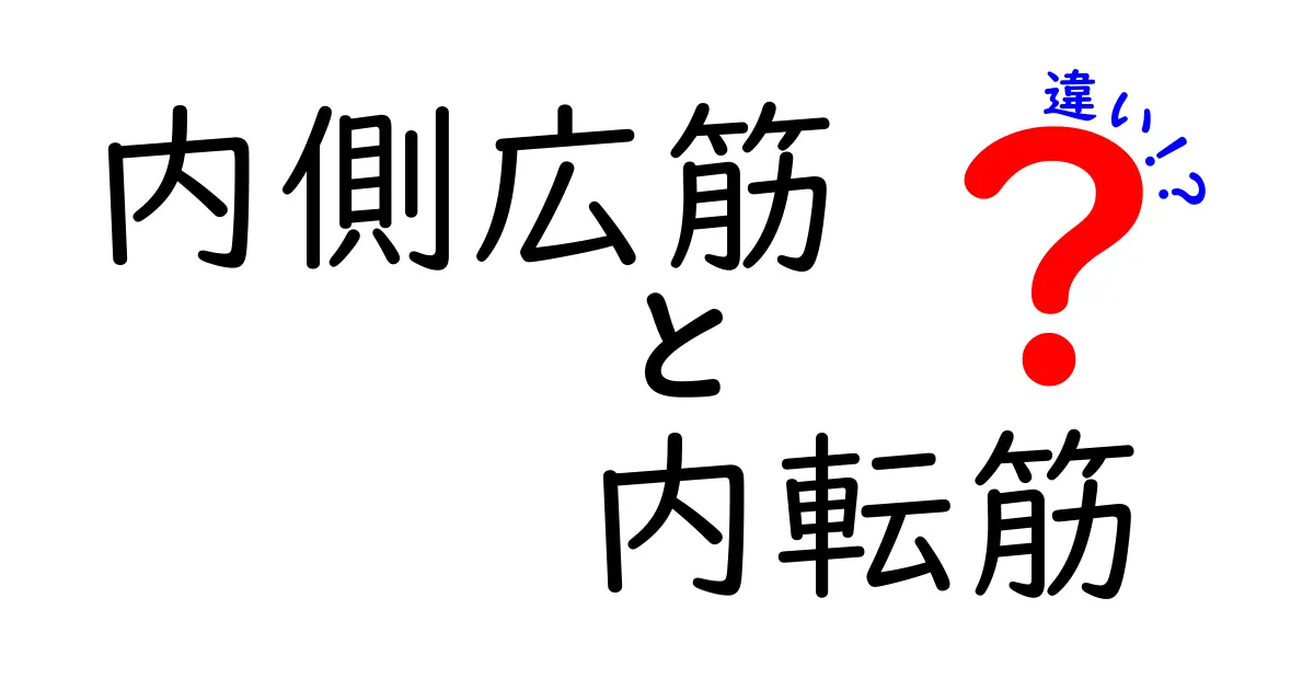 内側広筋と内転筋の違いを徹底解説鍛え方と怪我予防のポイント