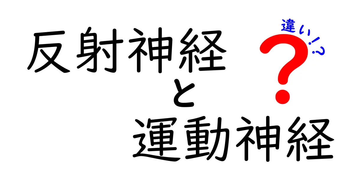 反射神経と運動神経の違いを徹底解説！中学生にもわかる図解つきガイド